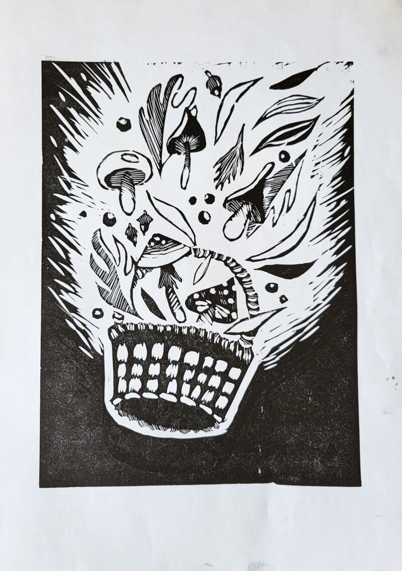 kurs-rysunku-poznań-online-grafika-warsztatowa-sklep-obraz-do-salonu-linoryt-grzyby